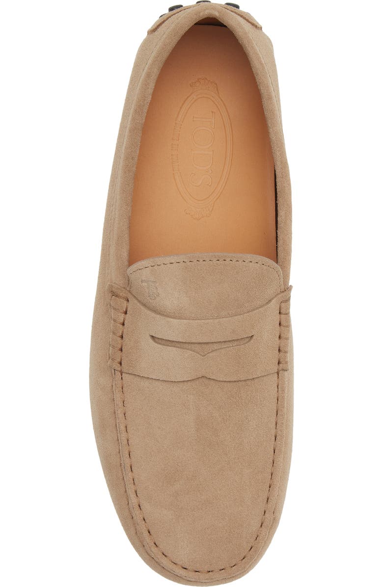 Tod's Penny Loafer Driving Shoe, Alternate, color, Biscotto