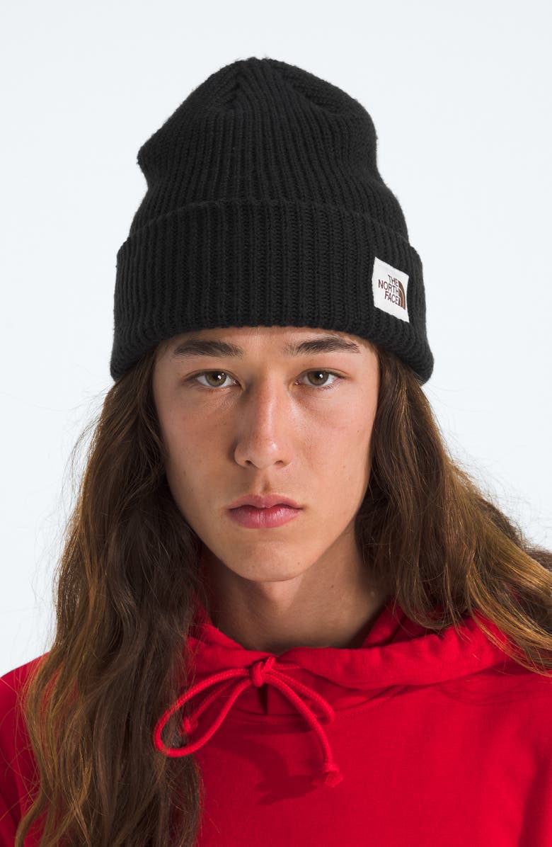 The North Face Salty Bae Knit Beanie, Alternate, color, Tnf Black