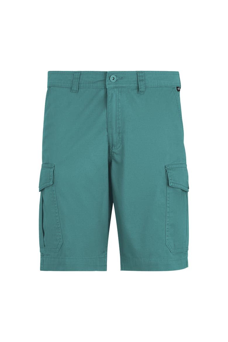 Ruwan Casual Shorts, Main, color, Arctic