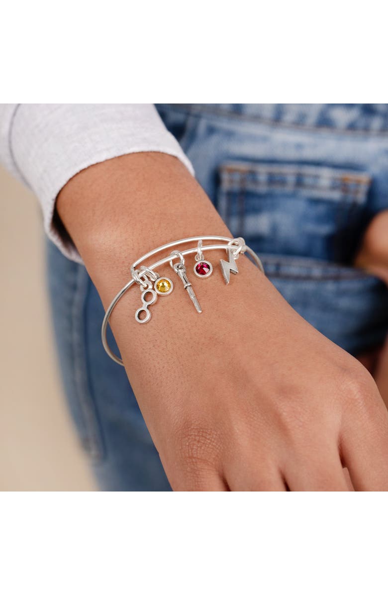 Alex and Ani Harry Potter<sup>™</sup> Hemione Multi Charm Bangle Bracelet, Alternate, color, Silver