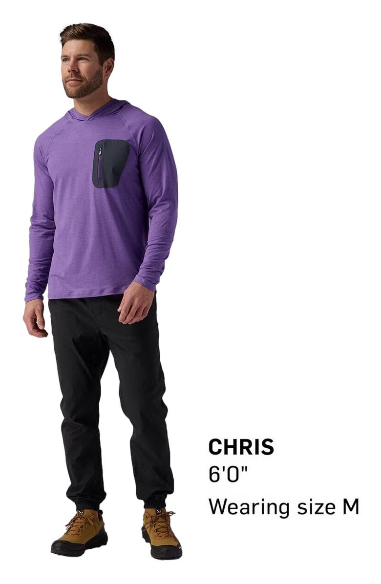 Backcountry Wasatch Ripstop Jger - Men's, Alternate, color, Black