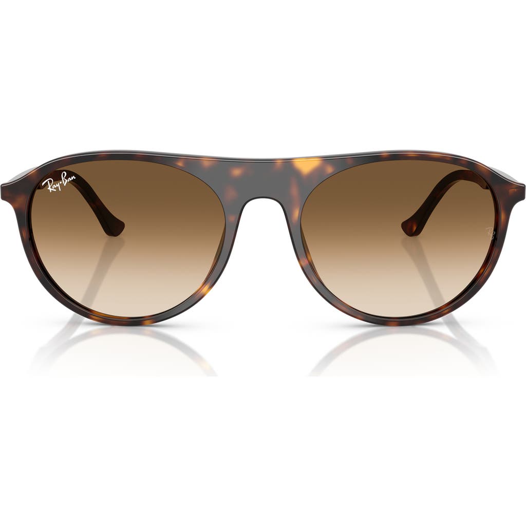 Ray Ban Ray-ban 59mm Gradient Square Sunglasses In Havana