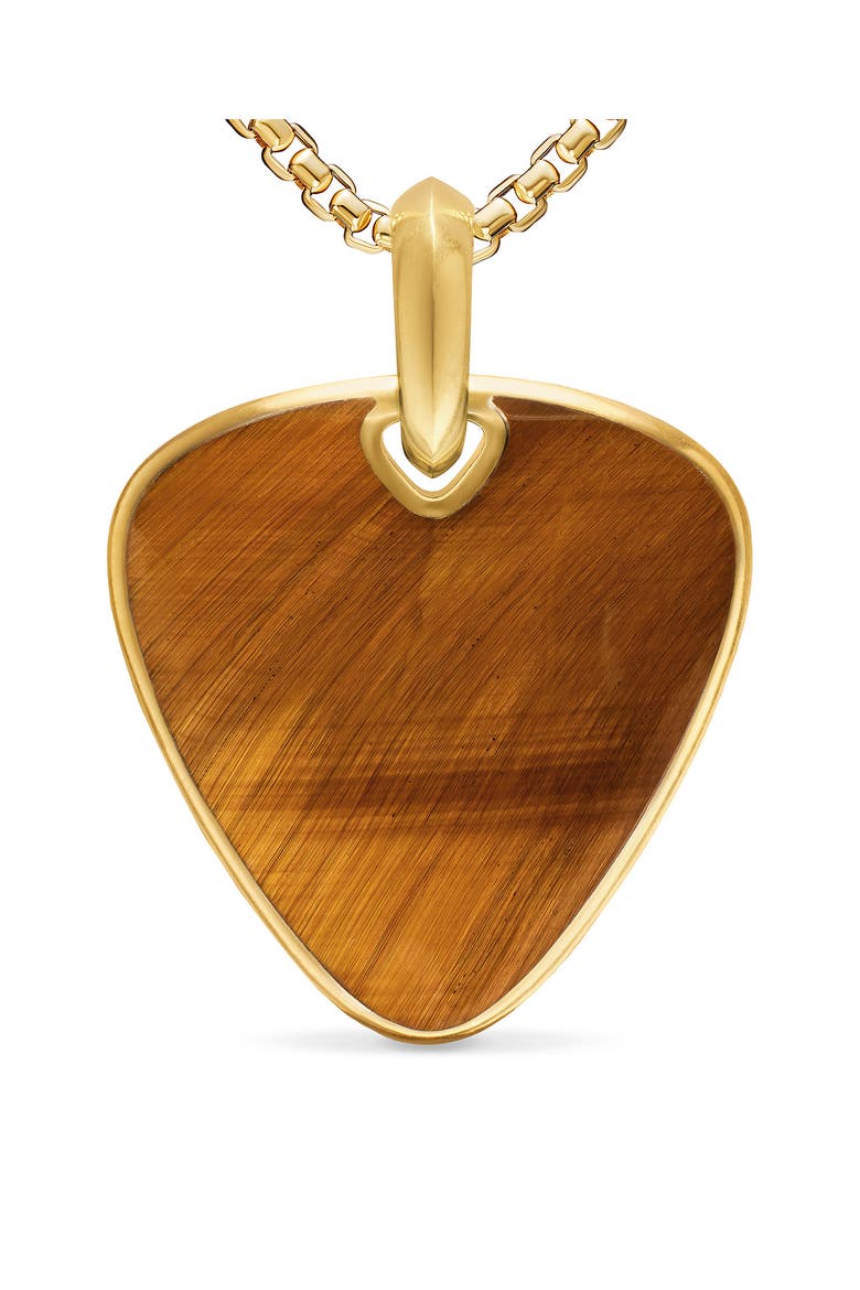 Men's Streamline Pick Amulet in 18K Yellow Gold, Alternate, color, TIGERS EYE
