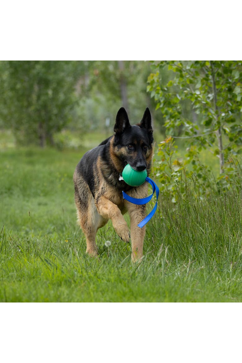 KoreFlex Ball & Tail, 4.75 Inches, Green, Dog Toy, Alternate, color, Green