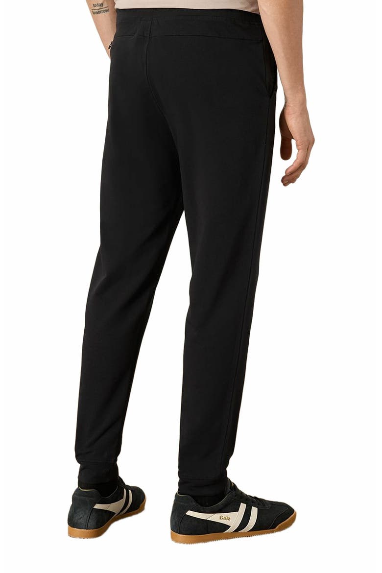 Organic Cotton Stash French Terry Jogger, Alternate, color, Black
