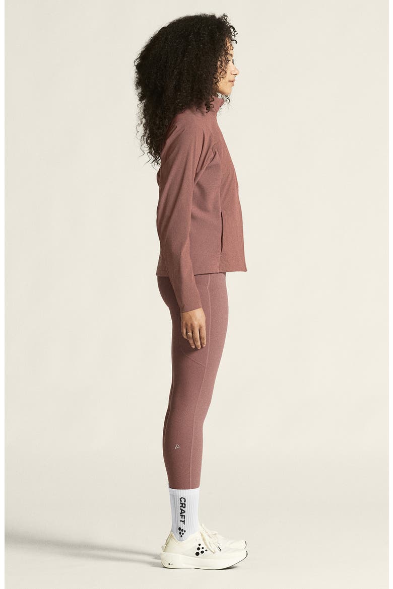 ADV Essence Warm Tights, Alternate, color, ROSE BROWN