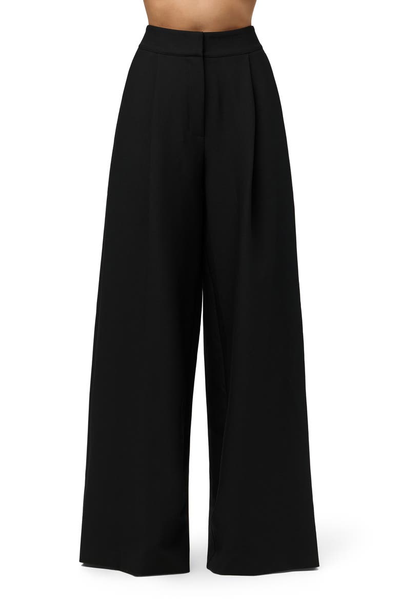 Pleated Wide Leg Pants, Main, color, BLACK