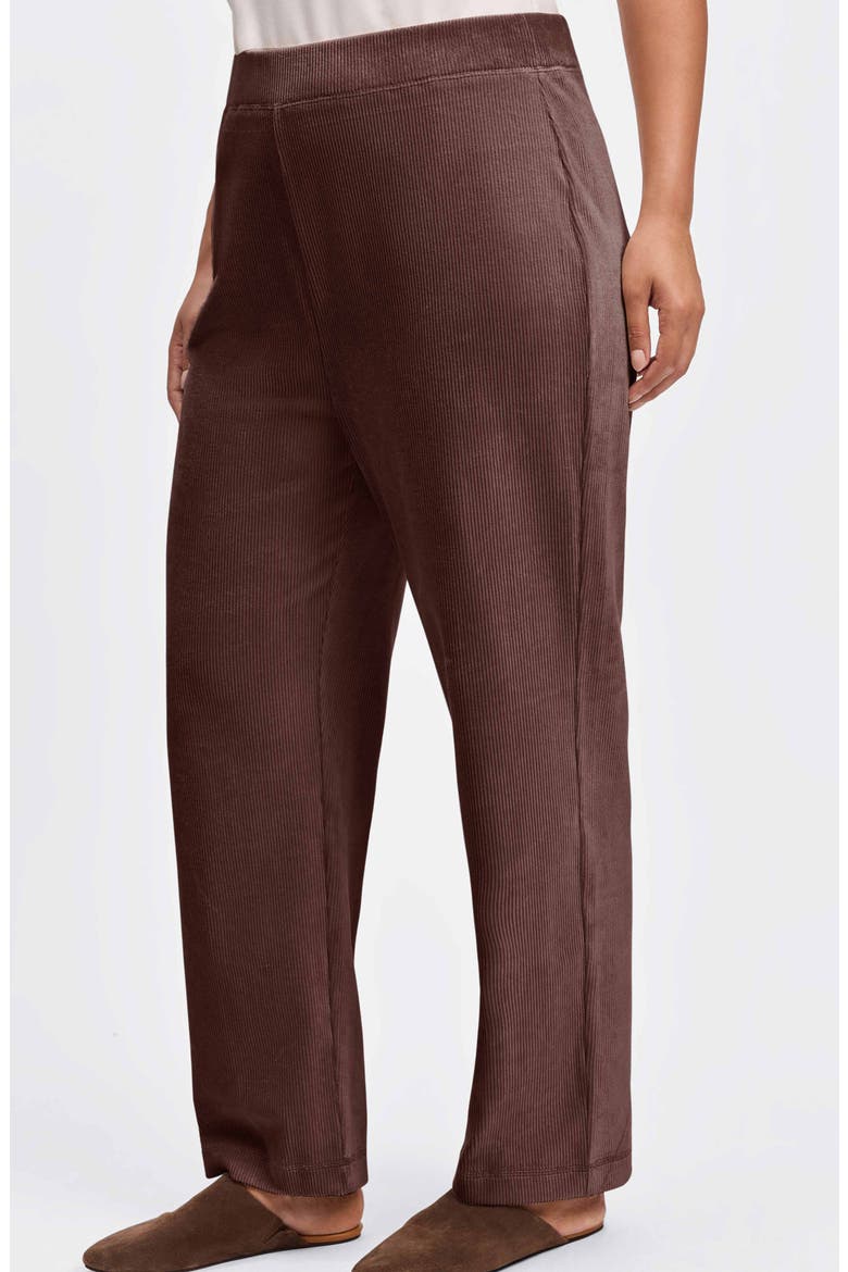 Caden Plush Corduroy Pants, Alternate, color, CHOCOLATE