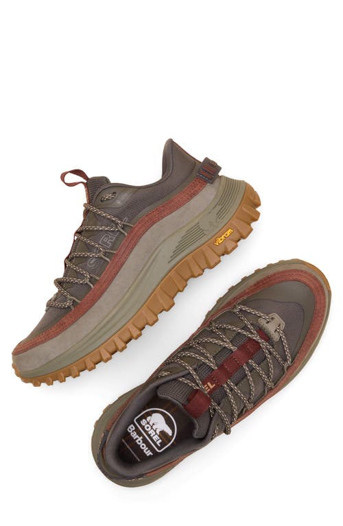 Sorel X Barbour Callsign Horizon Gore-tex® Waterproof Sneaker In Brown