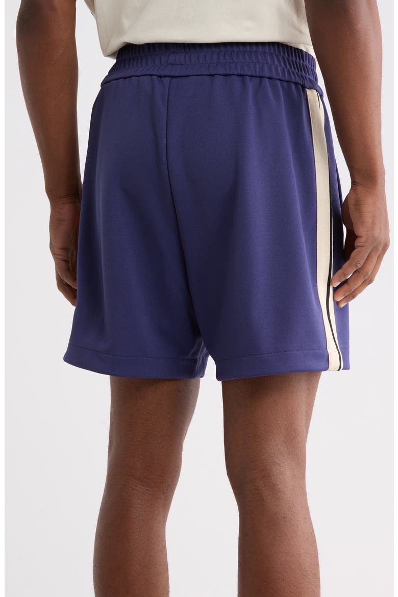 Side Stripe Shorts, Alternate, color, BLUE/WHITE