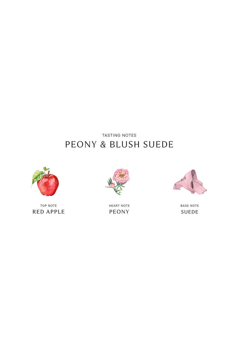 Peony & Blush Suede Cologne & Wood Sage & Sea Salt Cologne Set, Alternate, color, NO COLOR
