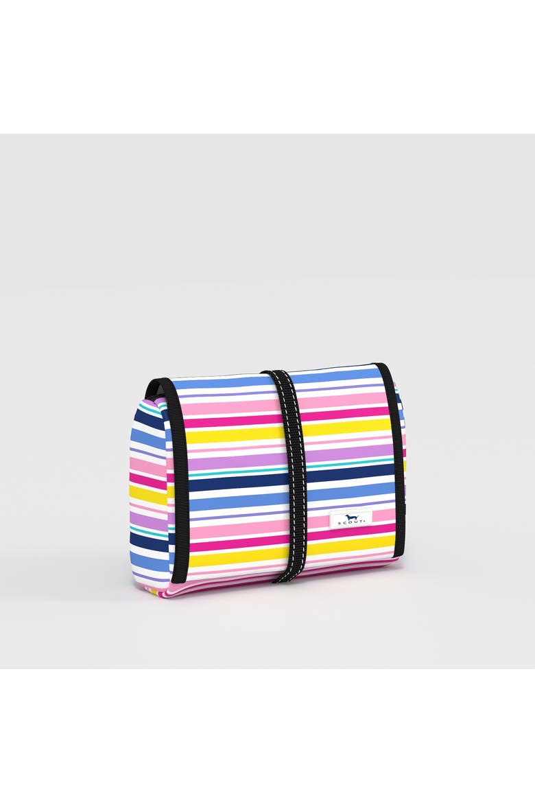 Beauty Burrito Toiletry Bag, Main, color, Stripe a Pose