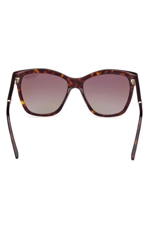 Tom Ford Lucia 54mm Polarized Square Sunglasses In Classic Dark Havana/t Logo