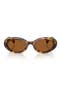  Honey Havana / Dark Bronze