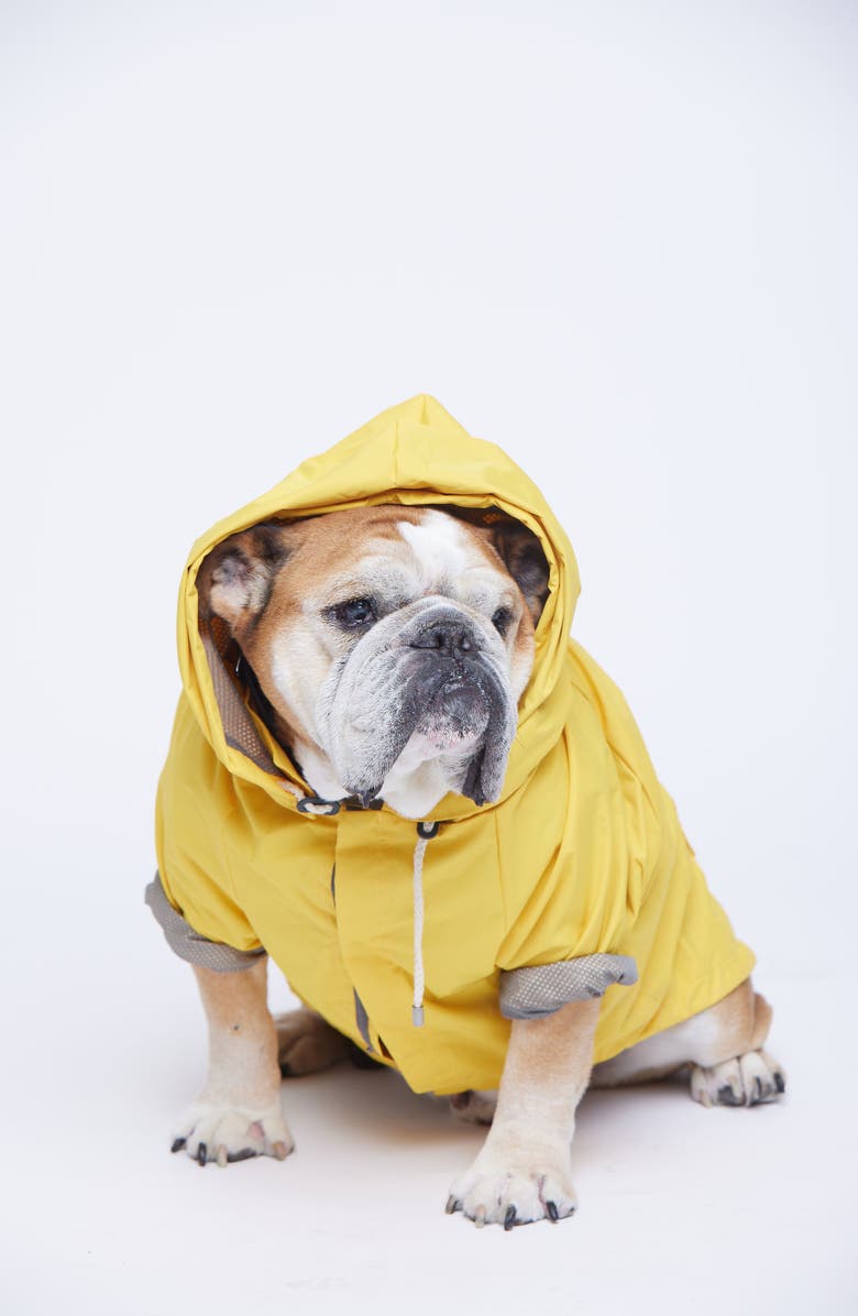 maxbone Talon Dog Raincoat, Alternate, color,