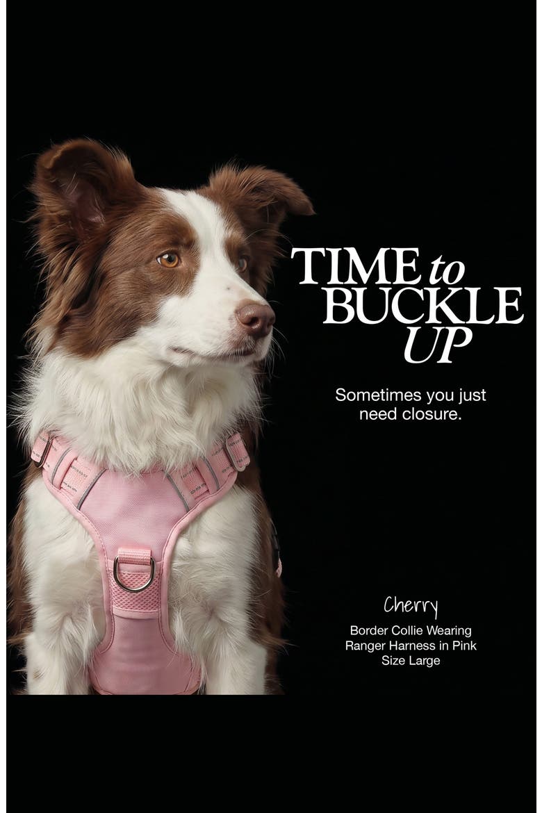 Ranger Reflective Pet Harness, Alternate, color, PINKDNU