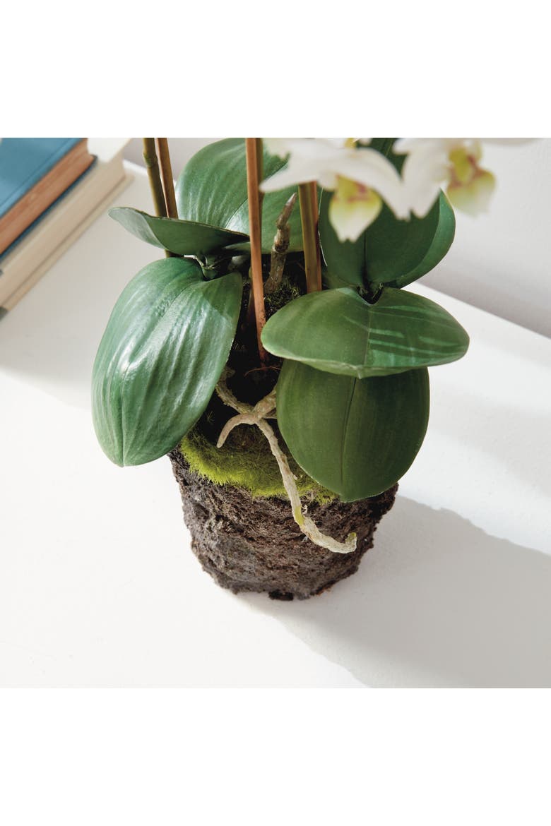 Phalaenopsis Orchid Faux (Fake) Drop-In 20", Alternate, color, White