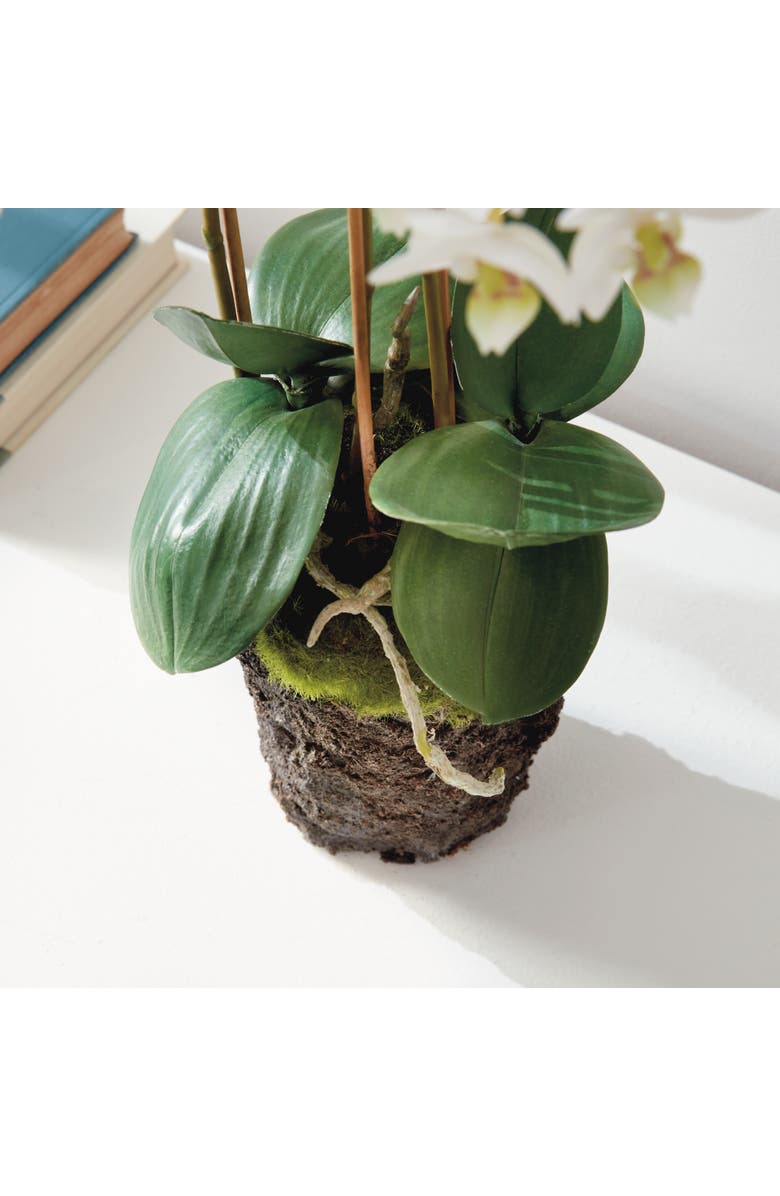 Napa Home & Garden Phalaenopsis Orchid Faux (Fake) Drop-In 20", Alternate, color,