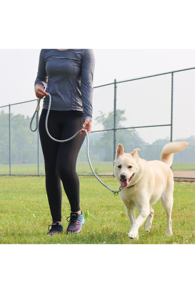 Active Woven Reflective Dog Rope Leash, Grey Scale, 6 Feet, Alternate, color, Gray