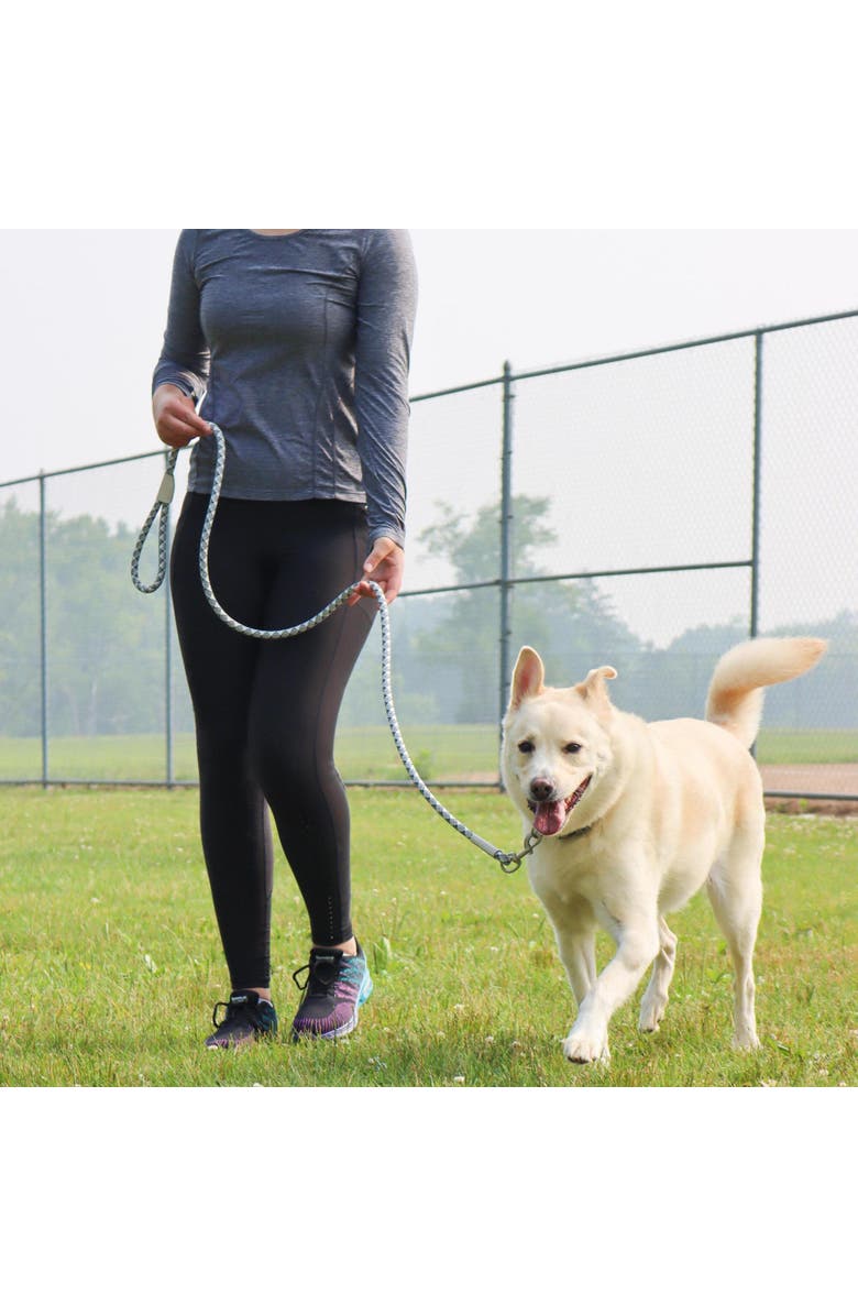 Pro Active Woven Reflective Dog Rope Leash, Grey Scale, 6 Feet, Alternate, color, Gray