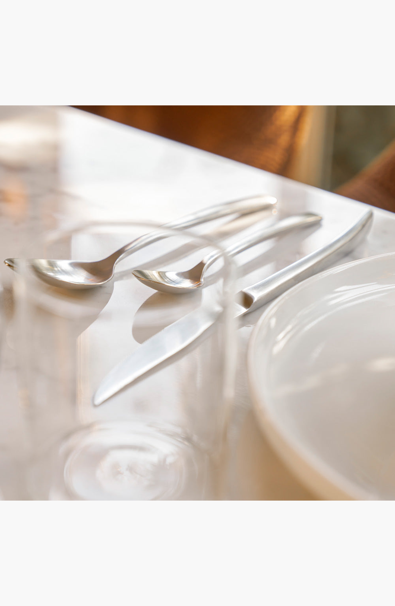 PUBLIC GOODS Stainless Steel Forged Flatware Set, Alternate, color, Stainless Steel