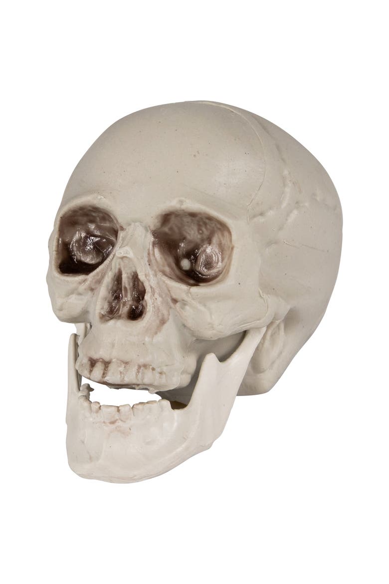 Shruken Skeleton Skulls Halloween Decorations - 4.5" - Set of 6, Alternate, color, Ivory