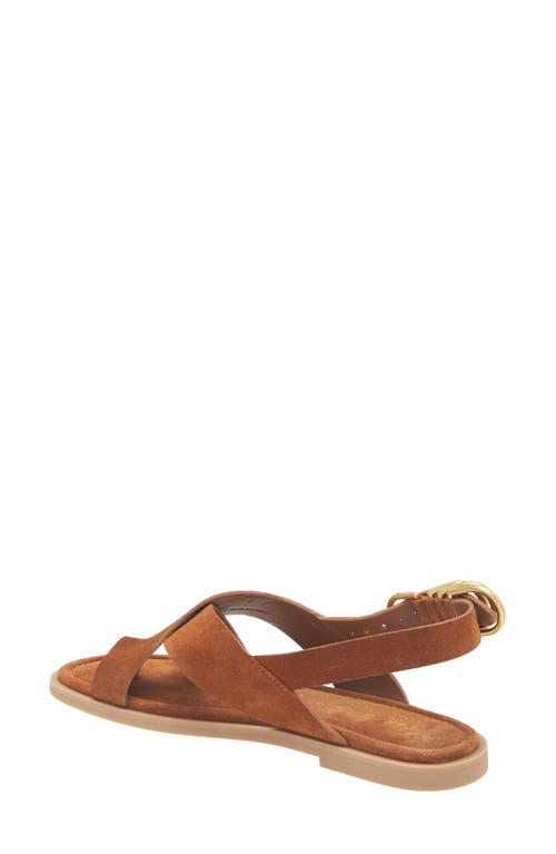 Rag & Bone Women's Gia Toe Loop Sandals In Umber Suede