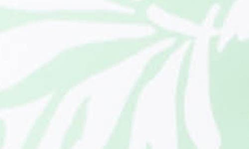 Roxy Oceanside Hipster Bikini Bottoms In Green