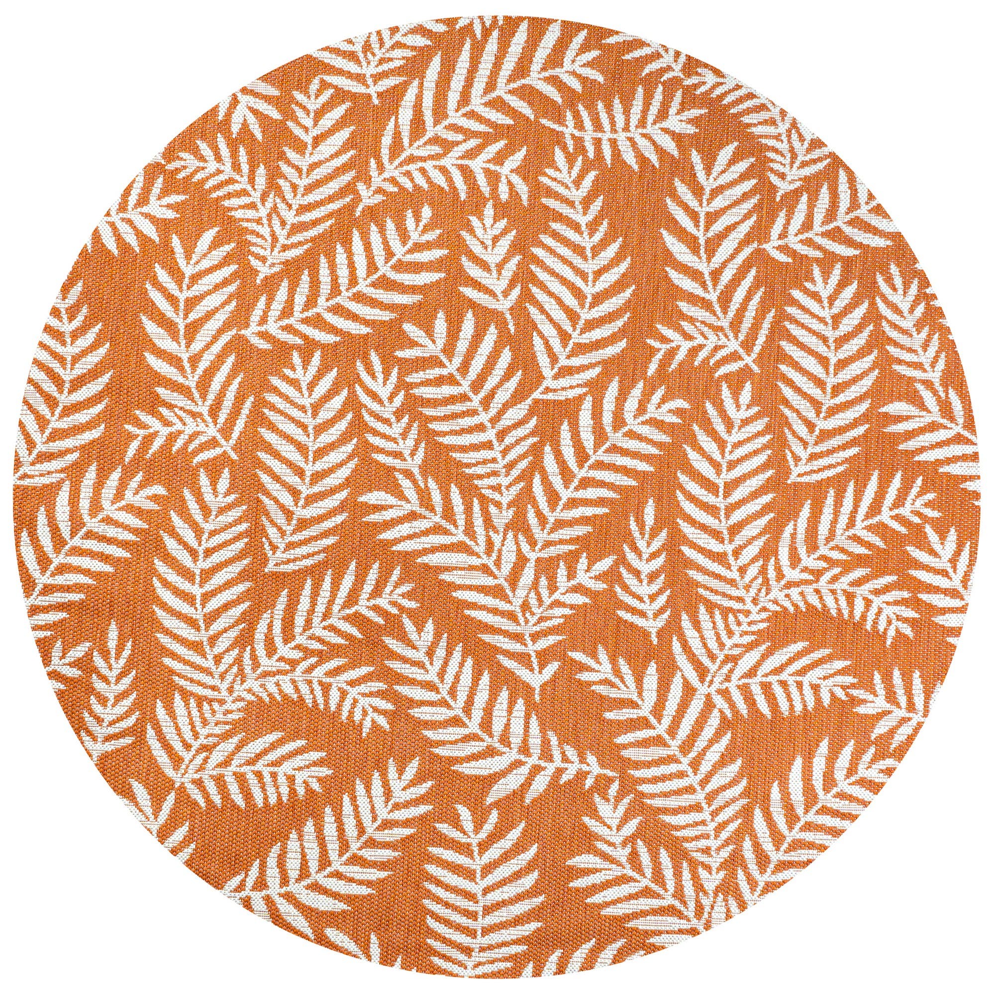 Orange/Cream