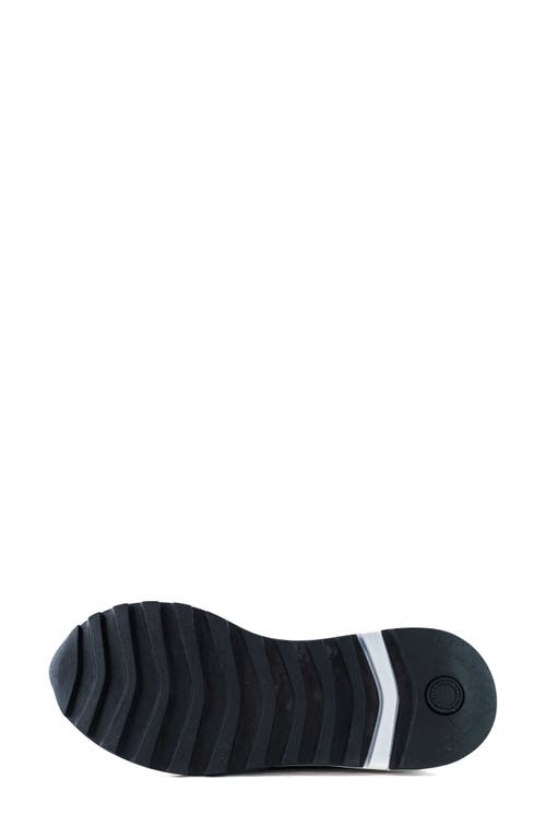 Marc Joseph New York Grant Street Sneaker In Navy
