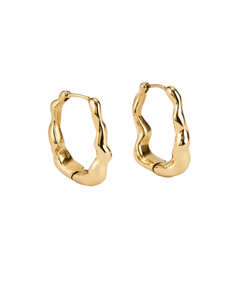 Dazzling Long Earrings