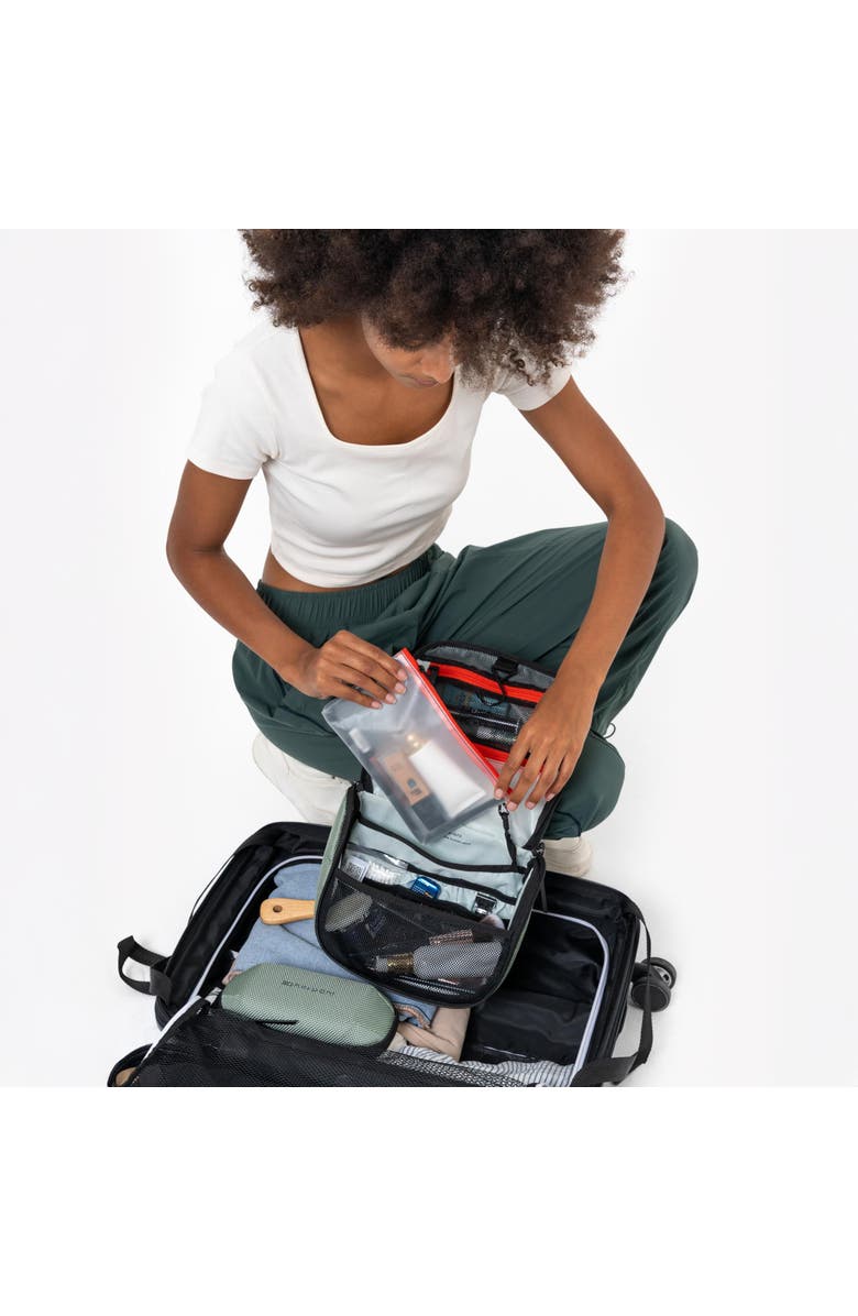 Sherpani CoPilot Travel Toiletry Bag, Alternate, color, Aloe Mist