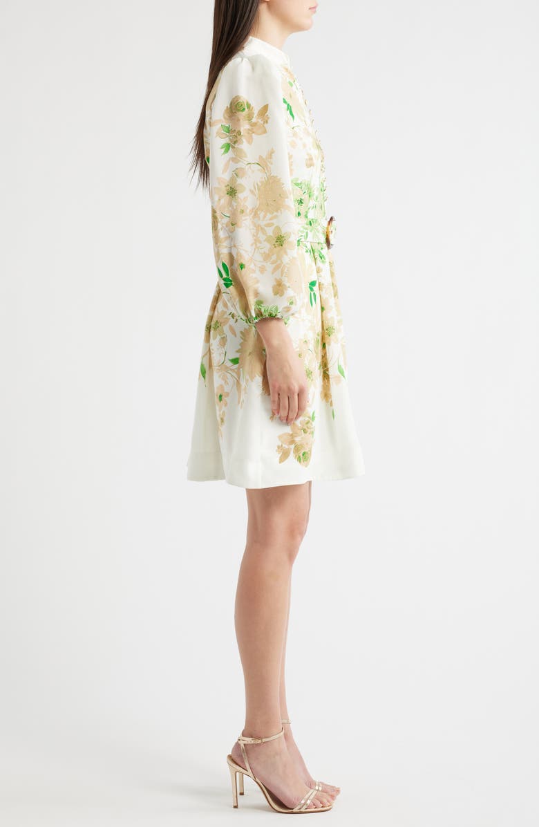 Tahari ASL Border Print Belted Long Sleeve Dress, Alternate, color, Ivory Fern