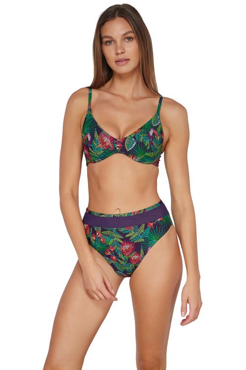 Sunsets Annie High Waist In Welcome To Rio