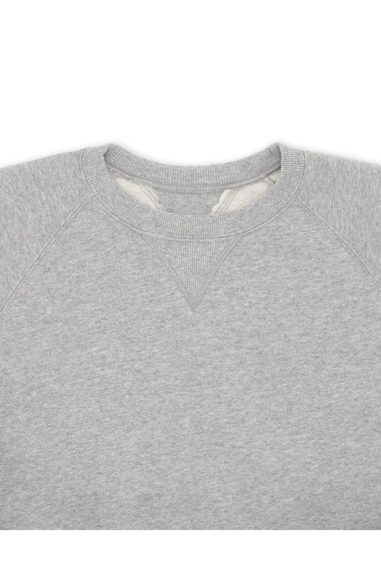 Fortela Harvard Fleece Jersey Raglan Sleeve Sweatshirt, Alternate, color, Melange