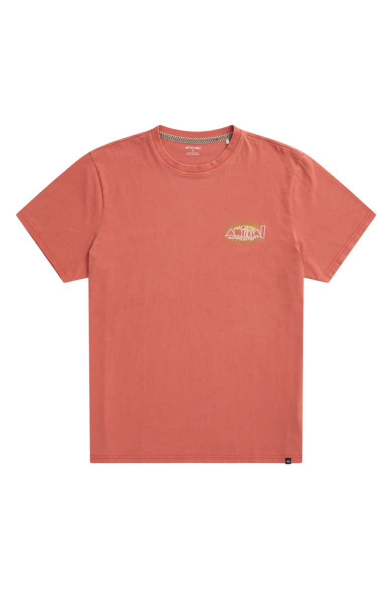 Chase Relaxed Fit T-Shirt, Main, color, Burnt Orange