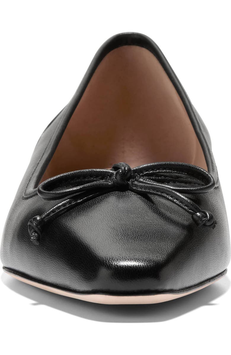 Cole Haan Chlea Pointed Toe Ballet Flat, Alternate, color,