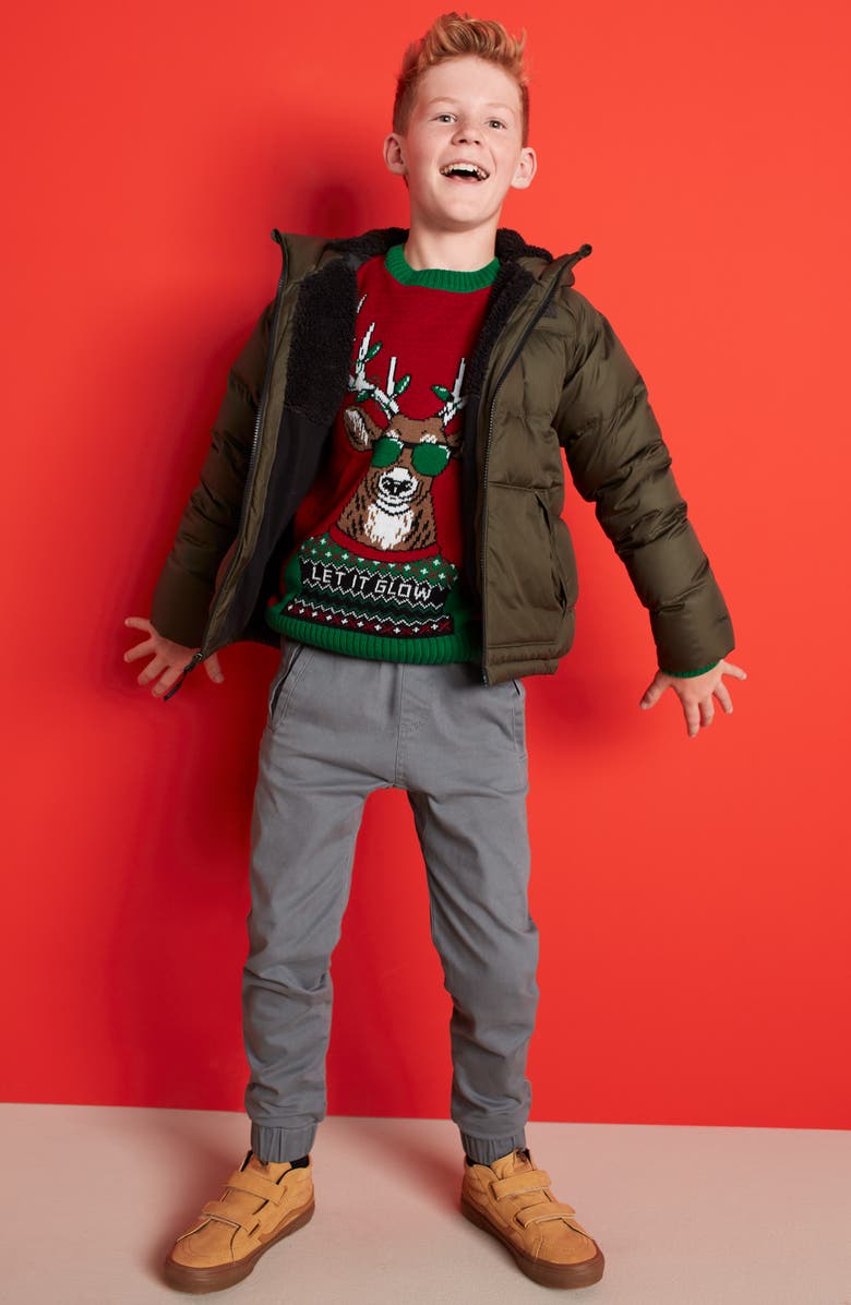 The North Face Moondoggy 2.0 Water Repellent Down Jacket, Alternate, color, 