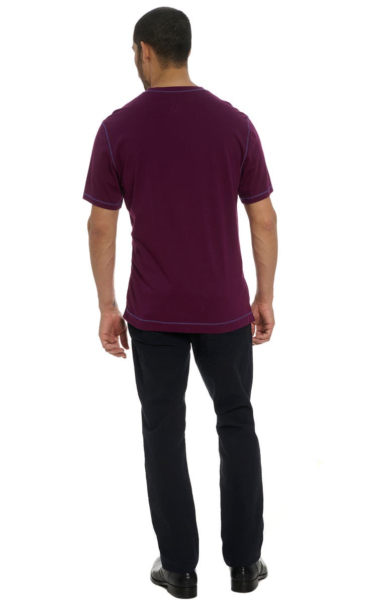 Robert Graham Eastwood Cotton & Modal V-Neck T-Shirt, Alternate, color, 