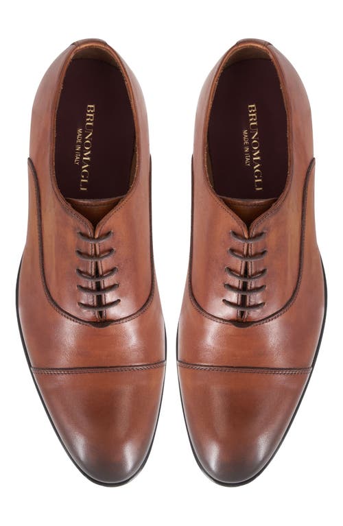 Bruno Magli Adriano Cap Toe Oxford In Cognac