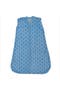  Blue Anchor