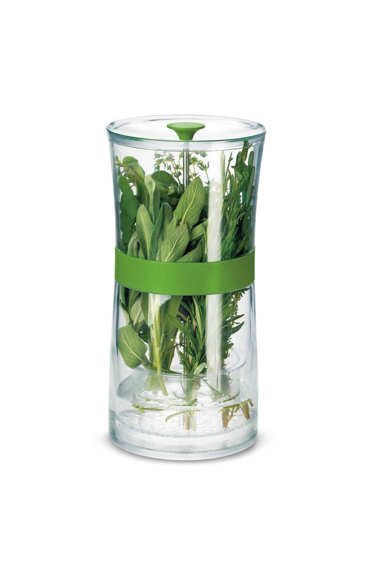 Original Herb Keeper Keeps Herbs Fresh Storage Container, Main, color, Green