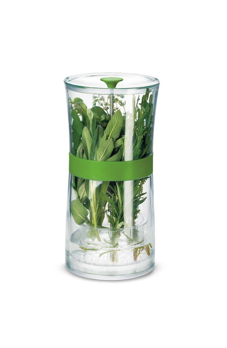 CUISIPRO Original Herb Keeper Keeps Herbs Fresh Storage Container, Main, color, Green