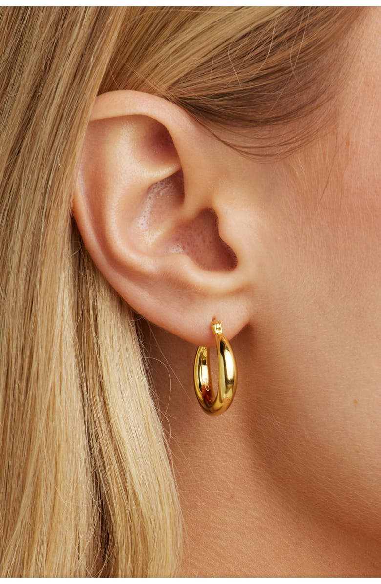 Untamed Petals Nadia Classic Gold Hoops, Alternate, color, Gold