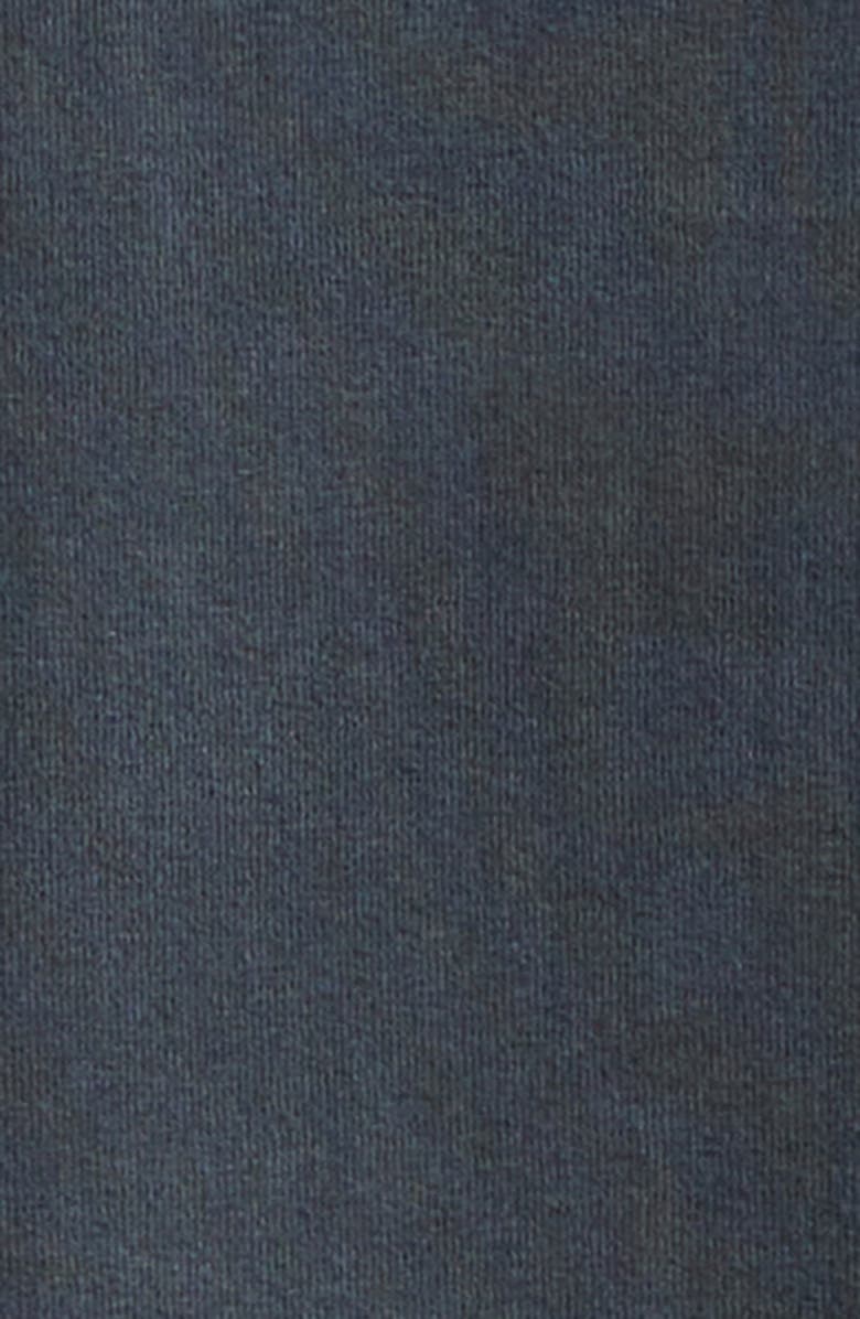 STOCKHOLM SURFBOARD CLUB Petite Logo Organic Cotton Zip Graphic Hoodie, Alternate, color, Black