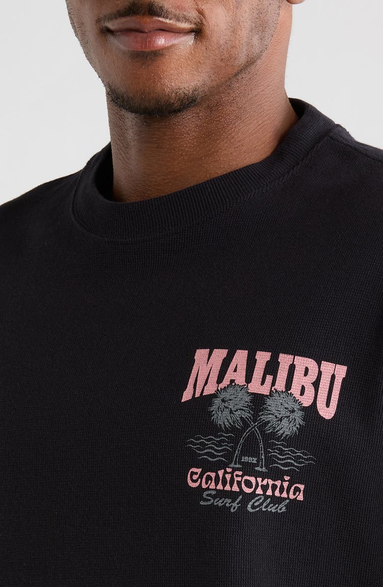 PacSun Malibu Graphic Cotton T-Shirt, Alternate, color, Black