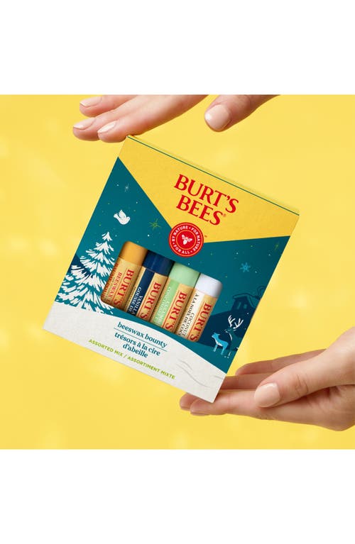 Burt's Bees Beeswax Bounty Lip Balm Gift Set In Transparent
