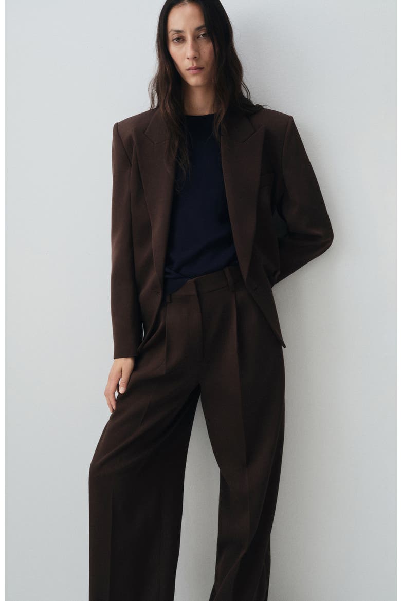 Selection Pleat Front Straight Leg Pants, Alternate, color, CHOCOLATE
