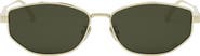 DIOR 'DiorCannage B1U Oval Sunglasses