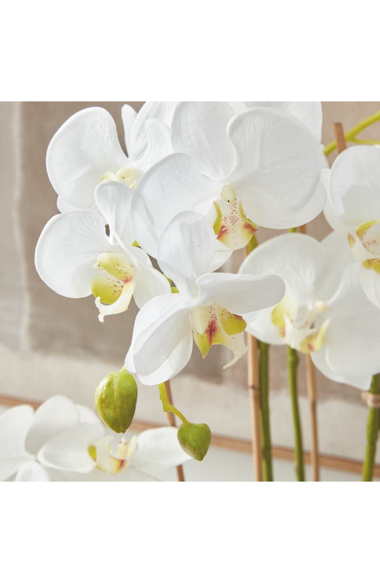 Napa Home & Garden Phalaenopsis Orchid Faux (Fake) Drop-In 30", Alternate, color, White